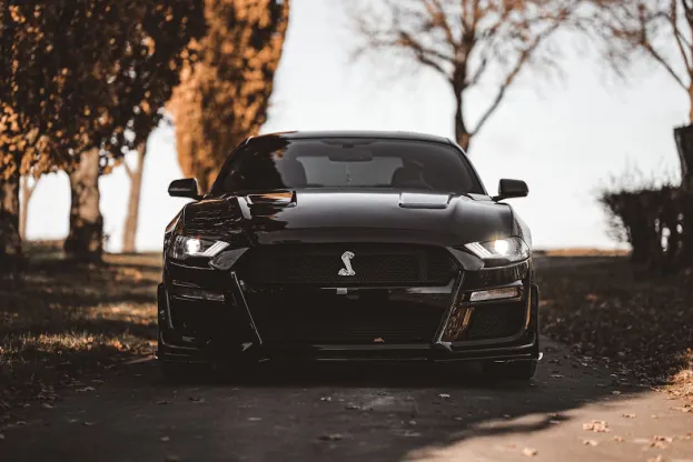 Ripper Casino Android/iOS-app